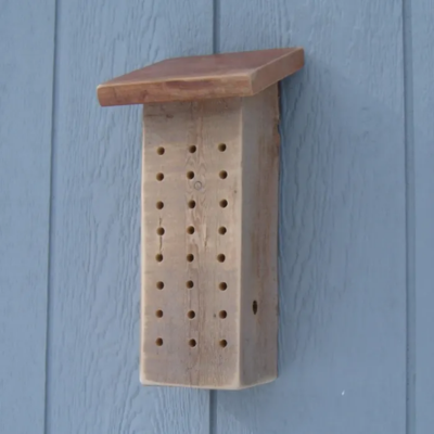 Bee_House