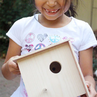 Bird_House