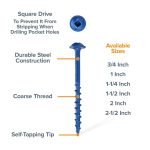 Coarse-Thread-Screws-Range-Blue B2.jpg